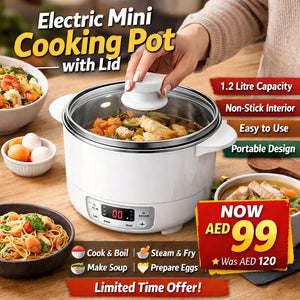 Electric Mini Cooking Pot with Lid Ⓢ